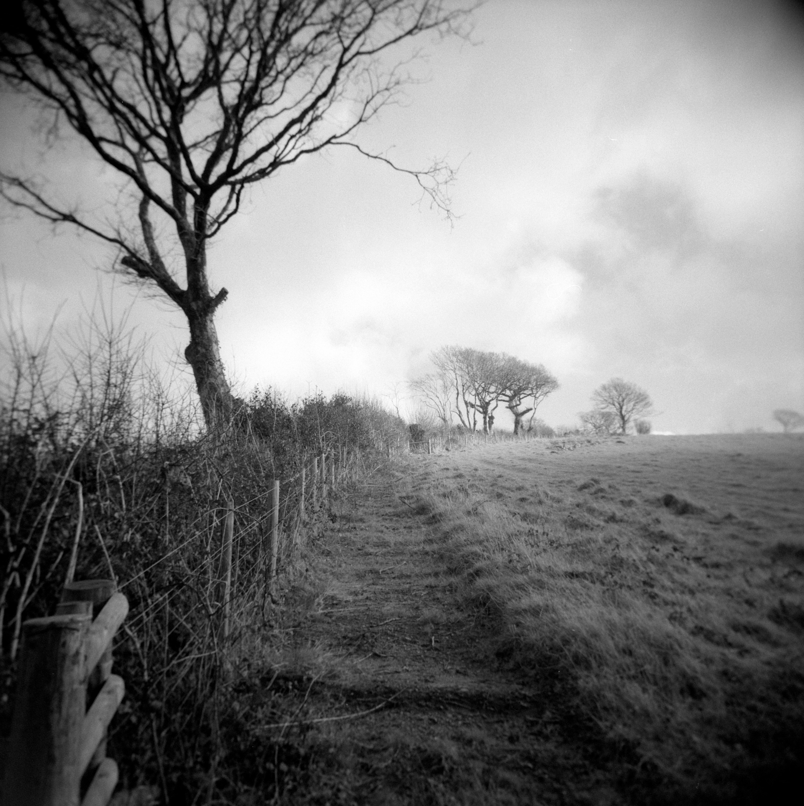 Field Boundary